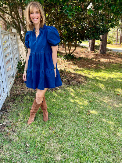 Aura Denim Mini Dress