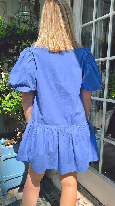Back view.  Drop waist cotton swing style dress. Button-down with puff sleeves. Periwinkle blue.